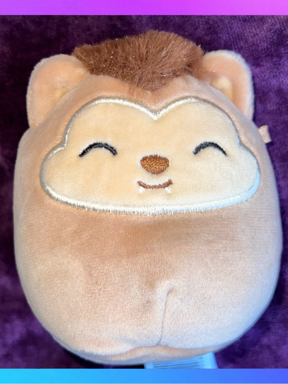 Squishmallow Wade The Wolf Mini Plush Toy New